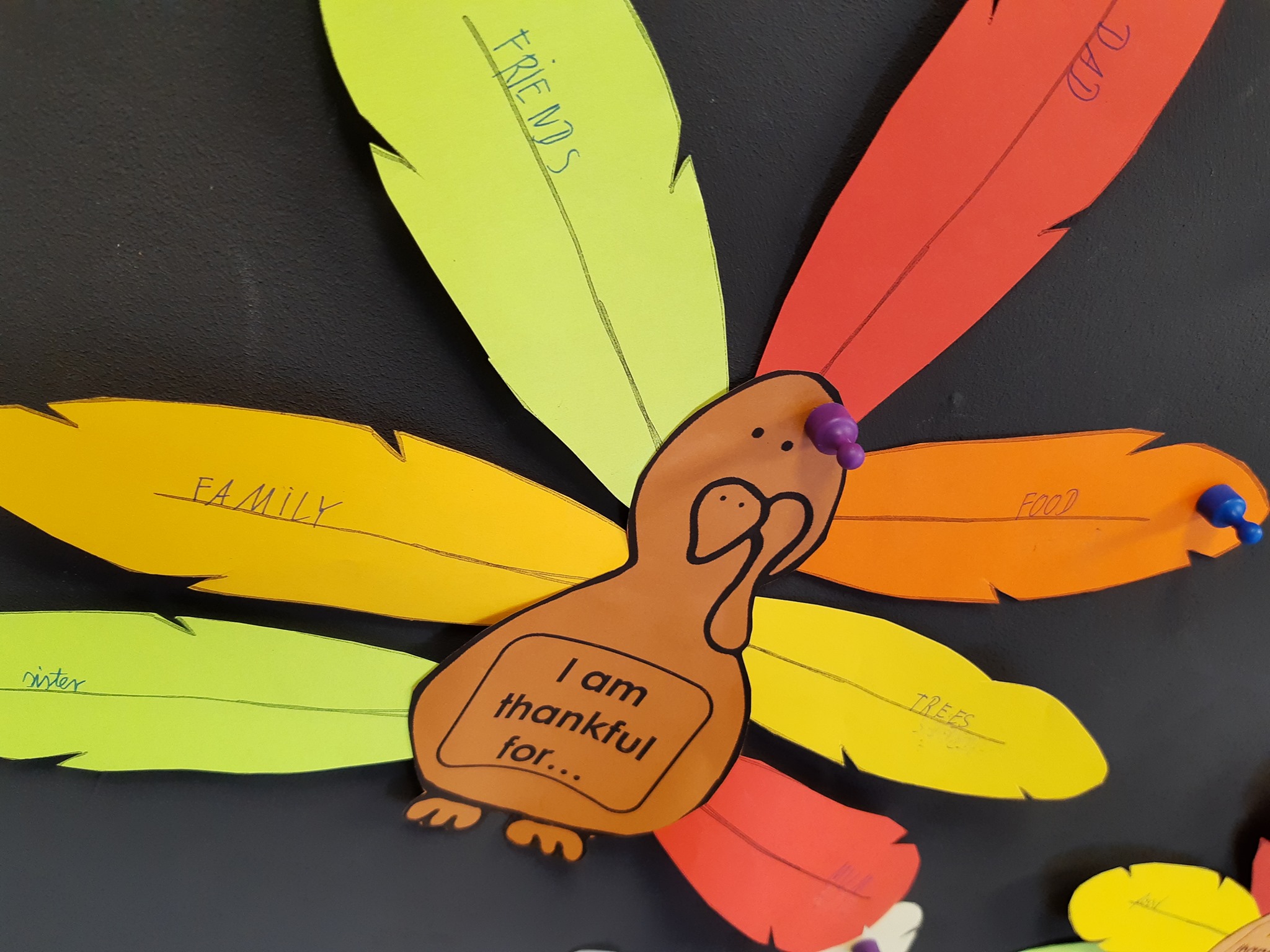 angielski kielce (4).jpg